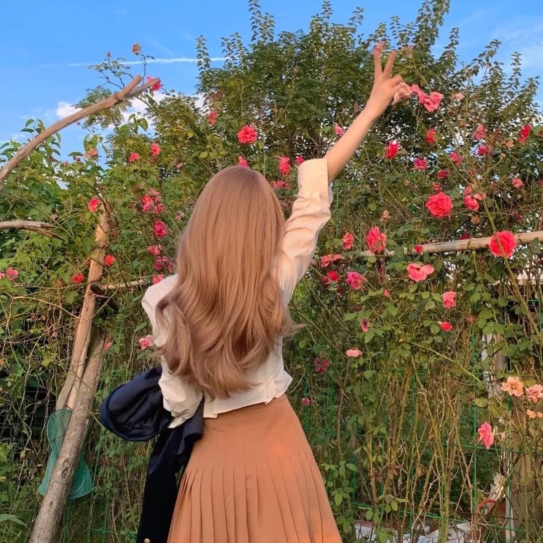 托芙的房间 封面